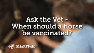 Ask the Vet  When should a horse be vaccinated [upl. by Song]