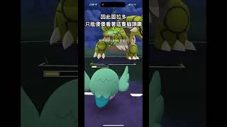 【娛樂友誼賽】木木梟vs固拉多，宿命的對決 Rowlet vs Groudon pokemongo pokémon [upl. by Allemac782]