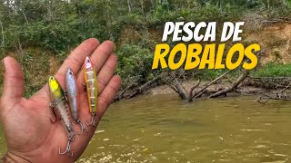 Pesca de ROBALOS nas GALHADAS  SÓ ISCA ARTIFICIAL [upl. by Adidnac]