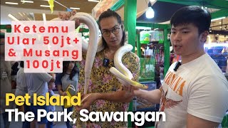 Ada Ular 55jt dan Musang 100jt Grebek Pameran The Park Sawangan Depok [upl. by Eurydice]