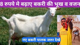 8 रुपये मे बढाए बकरी की भूख व वजन  Bakri ka bhook badhane ki dawa  Bakri ka vajan badhane ki dava [upl. by Wein]