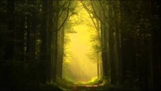 Celtic Spirit Chants and Melodies from the Celtic Lands [upl. by Latricia898]