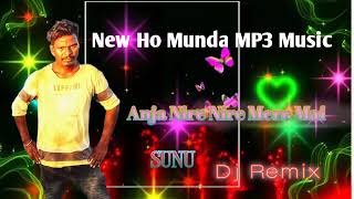 ANJA NIRE NIRE MERE MAINEW HO MUNDA DJ REMIX MUSIC 2024 [upl. by Eugor424]