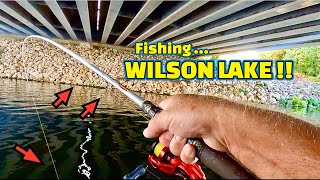 Fishing WILSON LAKE  Multi Fish Species on the TENNESSEE RIVER [upl. by Gonsalve]