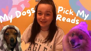 My dogs pick my reads 🐶🦴 [upl. by Anitreb]