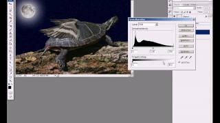 Composing erstellen  Photoshop Tutorial Pro [upl. by Draude]