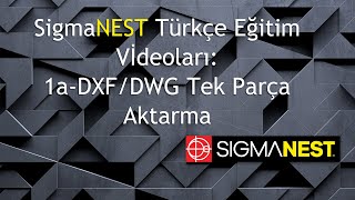 SigmaNEST Eğitimi 1a DXFDWG Tek Parça Aktarmak [upl. by Sherm]