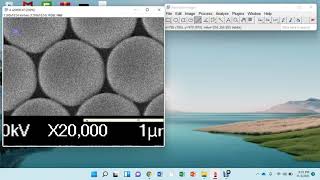 How to calculate particle size from SEM image using ImageJ software [upl. by Petersen]