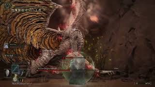 ANCIENT DRAGON SENESSAX BOSS FIGHT ELDEN RING SHADOW OF THE ERDTREE DLC 4K 60FPS EASY KILL CHEESE [upl. by Memory]