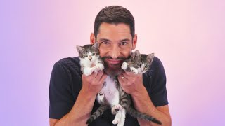 Tom Ellis The Kitten Interview [upl. by Elisa]