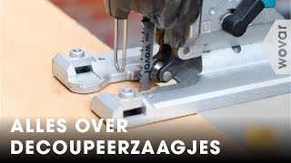 Decoupeerzaag  Alles over decoupeerzaagjes [upl. by Leola516]