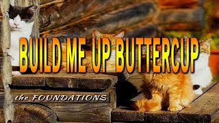 BUILD ME UP BUTTERCUP  karaoke version  popularized by the FOUNDATIONS [upl. by Hannan]