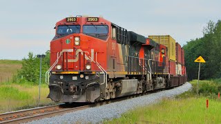 CN 2903 West Leading CN Q183  Near Lindbrook AB [upl. by Nnahsal956]