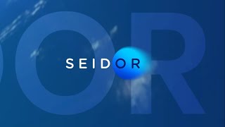 SEIDOR Brasil [upl. by Spring604]