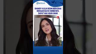 Shandy Aulia Resmi Bercerai dengan David Herbowo Dapat Hak Asuh Anak [upl. by Iilek]