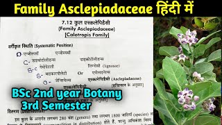 BSc Asclepiadaceae In hindi  BSc 2nd Year Botany 3rd Semester [upl. by Nolyak]