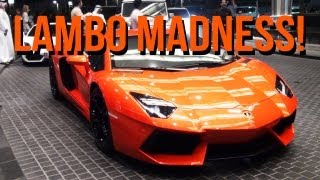 Lambo Madness  Aventador Versace Premier4509 LP5604 amp Murcielago [upl. by Xirtaeb328]