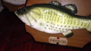 My Big Mouth Billy Bass Collection 3213 [upl. by Llovera]