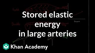 Stored elastic energy in large and middle sized arteries  NCLEXRN  Khan Academy [upl. by Nosrej]