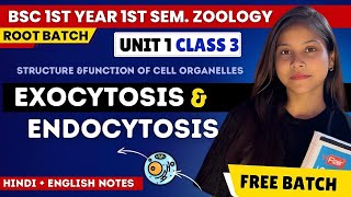 Exocytosis amp Endocytosis BSc 1st year 1st semester unit 1 in Hindi amp English🔥💯 [upl. by Nnyleitak]