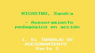 NICASTRO Sandra Asesoramiento pedagógico en acción 1 EL TRABAJO DE ASESORAMIENTO Parte 3 [upl. by Pasho]