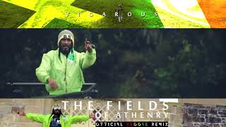 The Fields Athenry  Reggae Version  Vigarous [upl. by Novyad]