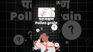 What is Pollen Grains biology pollengrain shorts  Krishnakant Sir [upl. by Aivatra791]