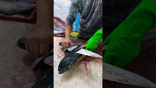 Recipes for cutting mahi mahi fishcutting [upl. by Oakleil87]