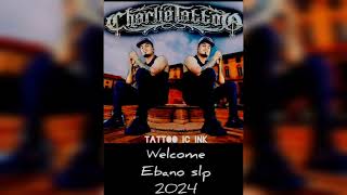 Charlie Tattoo  Poler Boh Audio Oficial 2024 [upl. by Eenattirb]