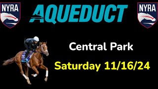 Aqueduct Saturday 1116 Selections  Full Card [upl. by Merci]