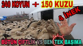 KARDEŞİMİN AYAK PARMAKLARI KIRILDI TEK BAŞIMA BÜTÜN ÇİFTLİKLE BAŞ ETMEK [upl. by Rieger745]