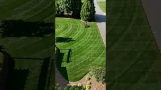 Tall Fescue Single Double Crop Circles lawnstripes gciturf [upl. by Nerred]