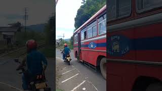 Train crossing and a tunnel දුම්රිය හරස් පාර travel shortsvideo srilankaadventures trainjourney [upl. by Aslin]