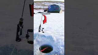 Ice Fishing fishing fish [upl. by Bahe]