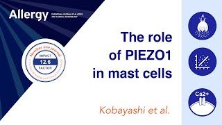 IL33 sensitizes mast cells to PIEZO1 stimulation leading to degranulation [upl. by Pardoes]