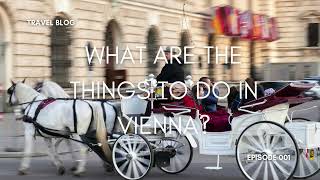 5 MOST IMPORTANT PLACES IN VIENNA [upl. by Acceber427]