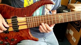 Gregg Voorhees demos his Peavey Cirrus 6 String Bass [upl. by Arica]