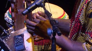 The Griot tradition of West Africa  Sibo Bangoura  TEDxSydney [upl. by Sophia]