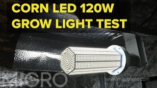 Corn led test and review [upl. by Azmah592]