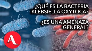 Casos de bacteria Klebsiella oxytoca no representan una alerta para toda la población infectólogo [upl. by Ferneau]