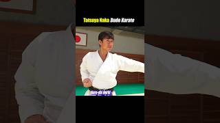 The practical application of Kata【Budo Karate】 [upl. by Tristis]