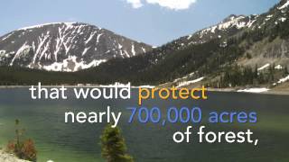 Montanas Forests Ask Congress to Protect Them Today  Pew [upl. by Nnaer]