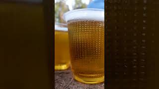 Save Water  Drink Beer Godfather shorts  Video [upl. by Liahkim370]