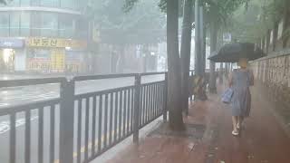 This is Real Heavy Rain Walk Relaxing Sound for Sleep Study Meditation White Noise ASMR [upl. by Kcirddahc]