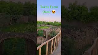 Torba Farm Qatar [upl. by Nnayar437]