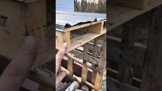 Inexpensive Back door woodshed build handyman firewood woodstove selfsufficientbackyard [upl. by Ellehcyar]