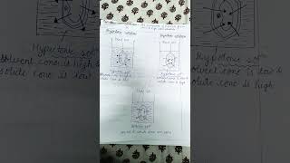 Hypotonicisotonichypertonic solution [upl. by Doownyl]