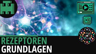 Rezeptoren Grundlagen│Biologie Lernvideo Learning Level Up KI [upl. by Burkhard450]