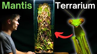 I Made A Tree Trunk Terrarium For a Praying Mantis Here’s How [upl. by Maurizio]