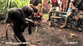 Ape With AK47  Обезьяна с автоматом Калашникова [upl. by Morell]